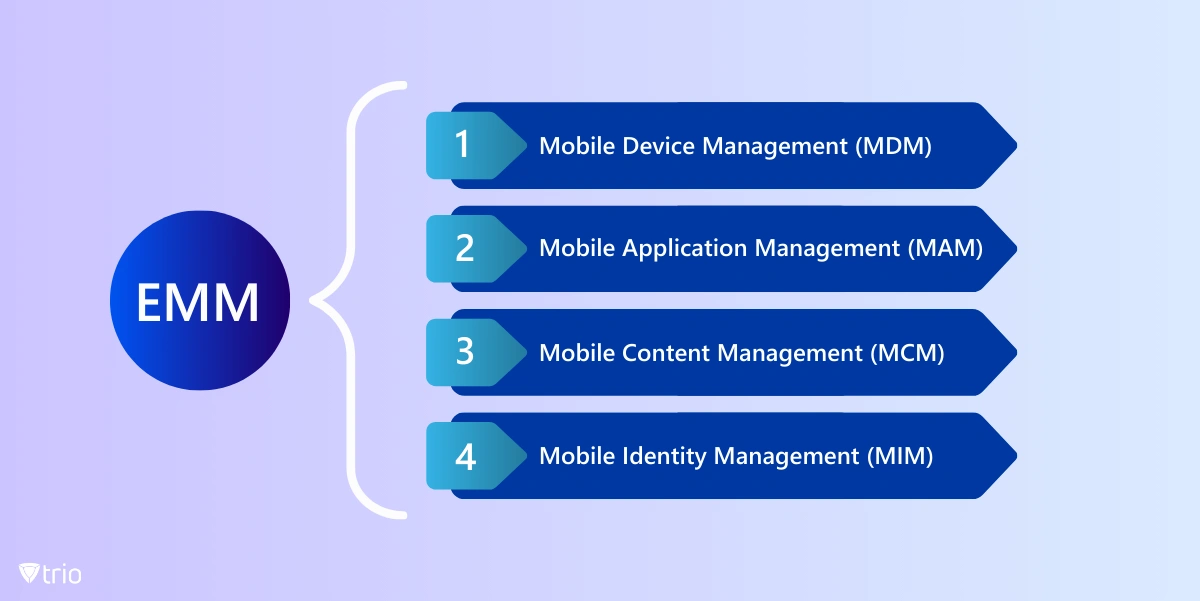 icons of device, application, content, and identity