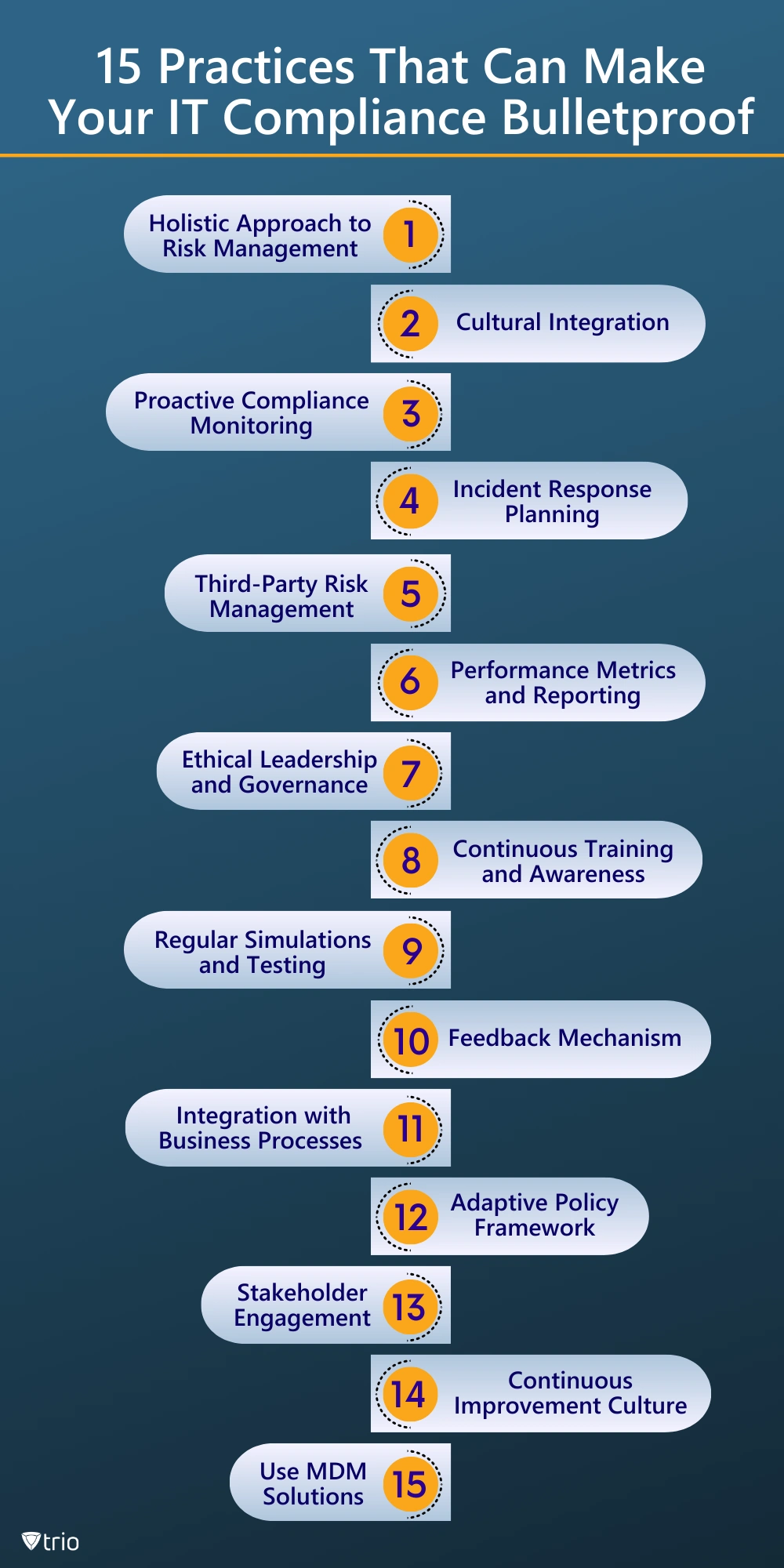 infographics listing IT compliance best practices