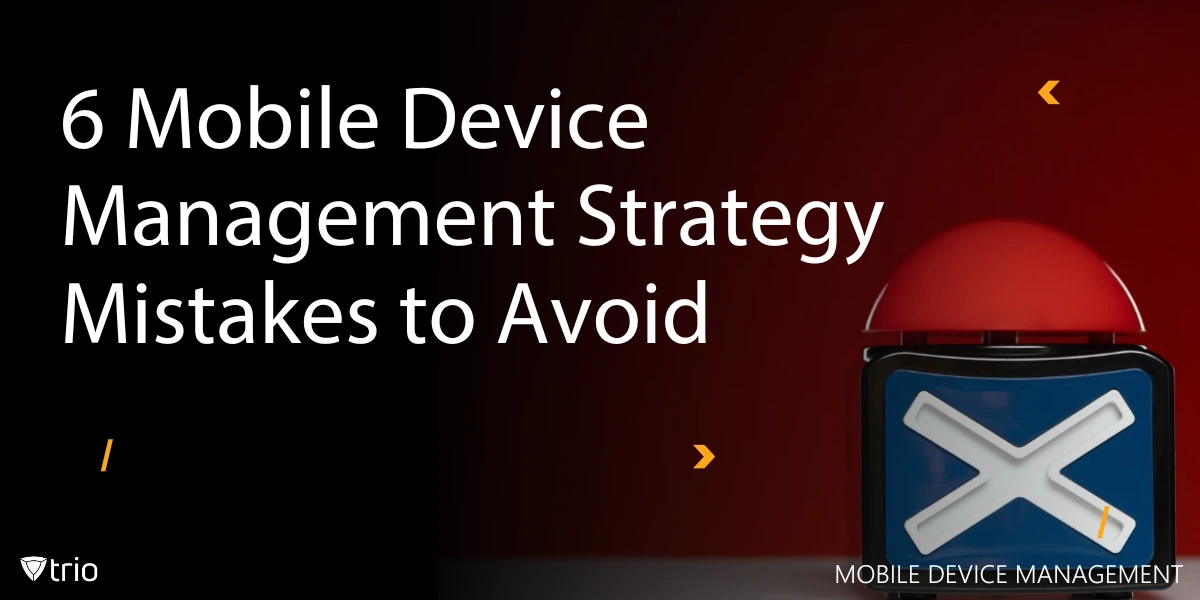 Graphic concept of MDM Strategy
