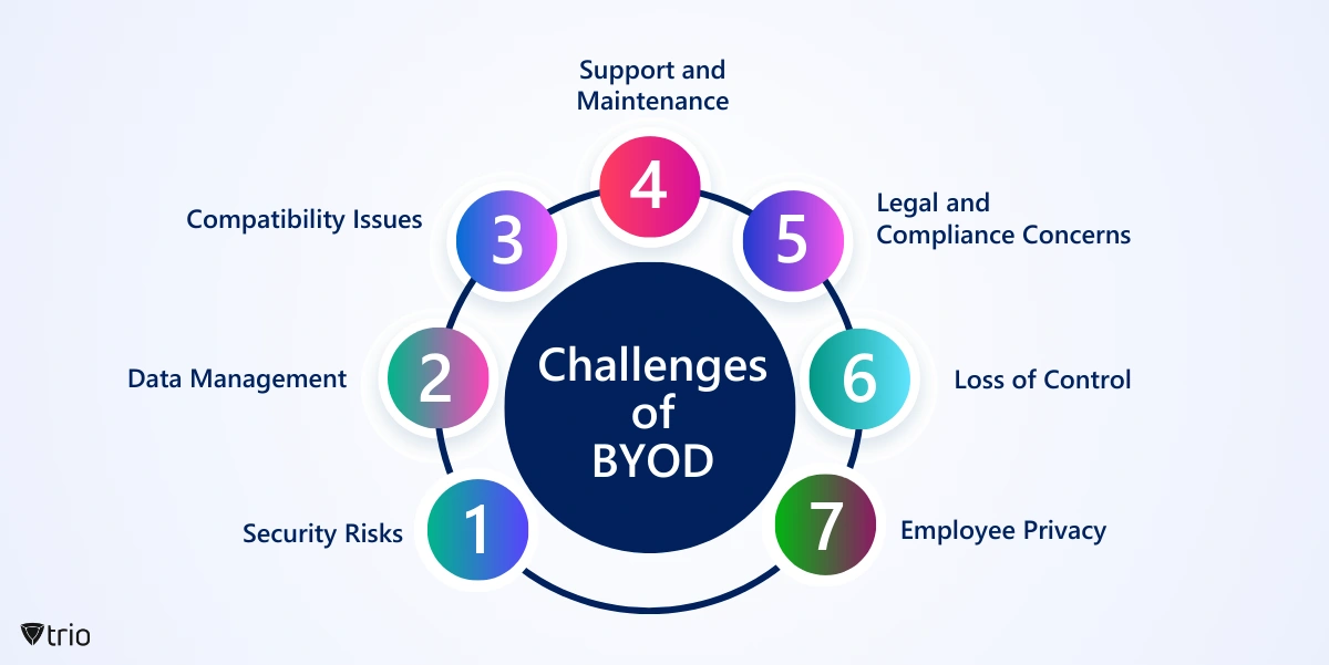 Infographic of the 7 challenges that organizations face with BYOD