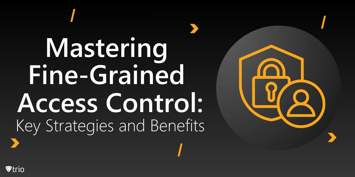 Mastering Fine-Grained Access Control: Key Strategies and Benefits