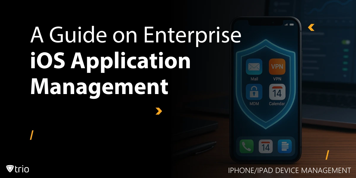 A Guide on Enterprise iOS Application Management